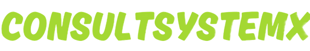 ConsultSystemX Logo
